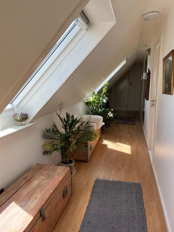 Munkebo B&B, Thy Тистед Екстериор снимка